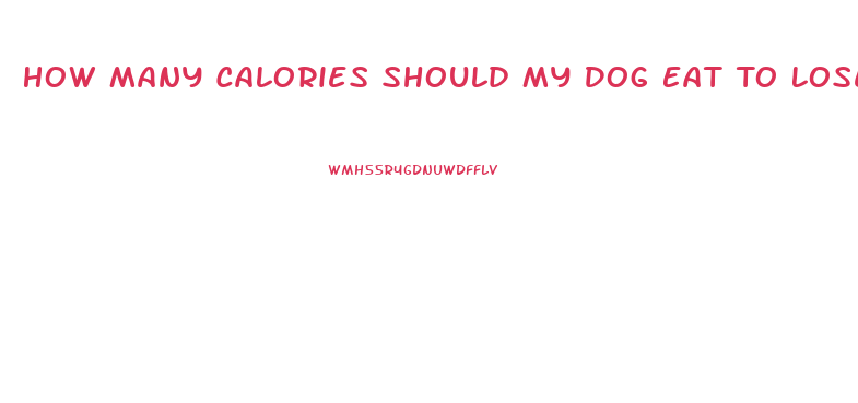 How Many Calories Should My Dog Eat To Lose Weight