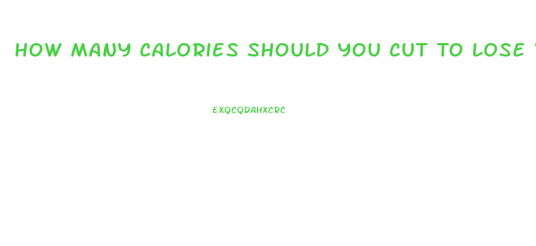 How Many Calories Should You Cut To Lose Weight