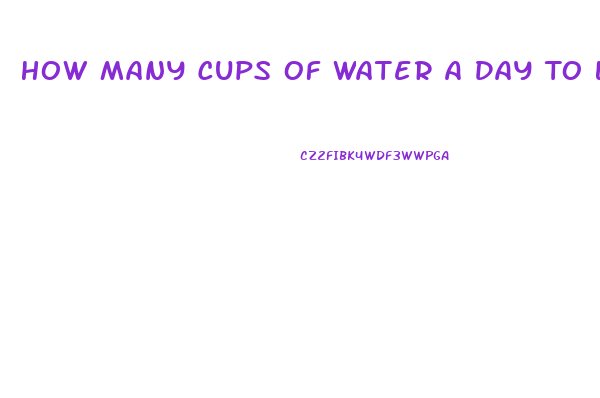 How Many Cups Of Water A Day To Lose Weight