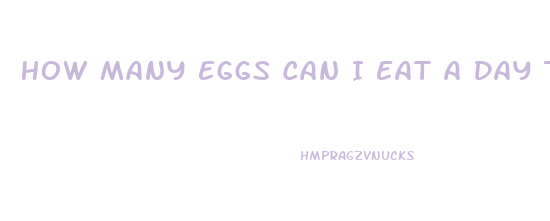 How Many Eggs Can I Eat A Day To Lose Weight