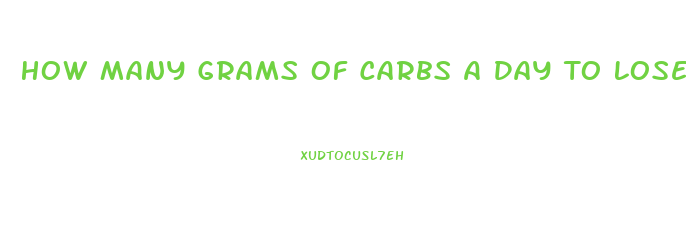 How Many Grams Of Carbs A Day To Lose Weight