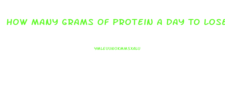 How Many Grams Of Protein A Day To Lose Weight