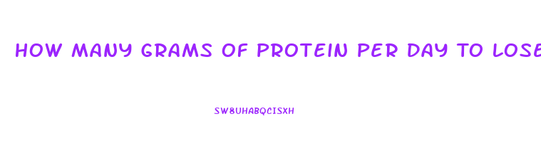 How Many Grams Of Protein Per Day To Lose Weight