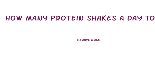 How Many Protein Shakes A Day To Lose Weight