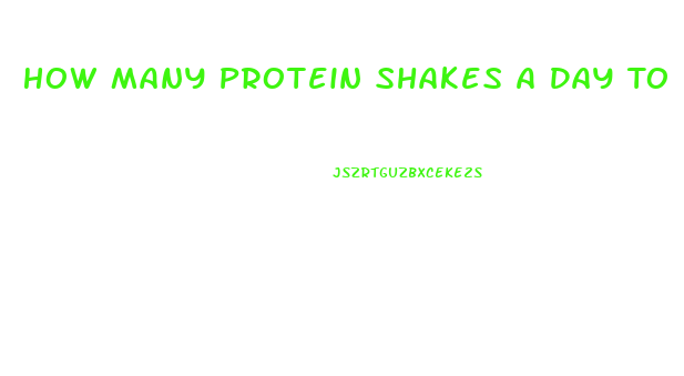 How Many Protein Shakes A Day To Lose Weight