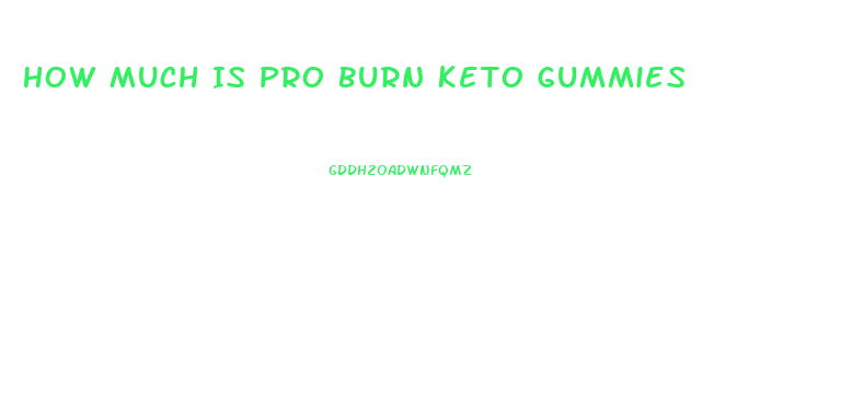 How Much Is Pro Burn Keto Gummies