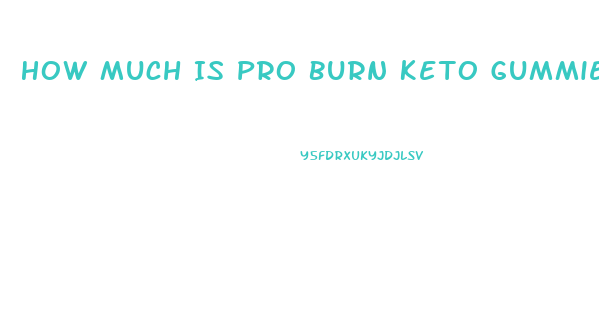 How Much Is Pro Burn Keto Gummies