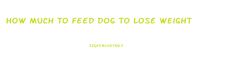 How Much To Feed Dog To Lose Weight