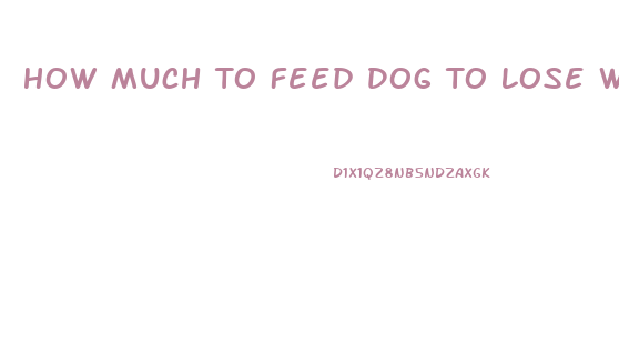 How Much To Feed Dog To Lose Weight