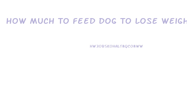 How Much To Feed Dog To Lose Weight