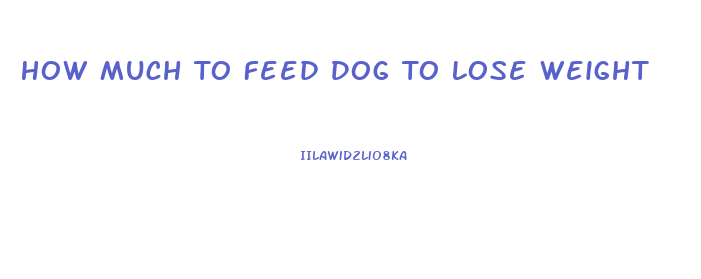 How Much To Feed Dog To Lose Weight