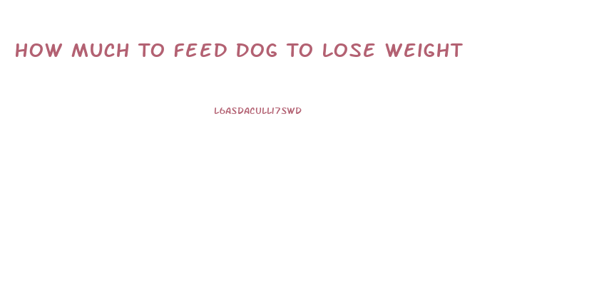 How Much To Feed Dog To Lose Weight