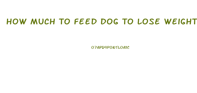 How Much To Feed Dog To Lose Weight