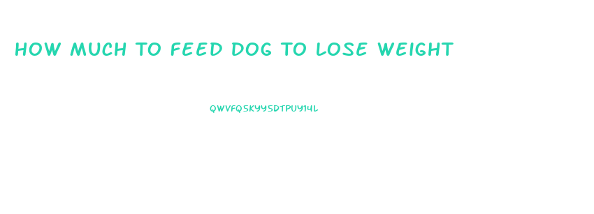 How Much To Feed Dog To Lose Weight