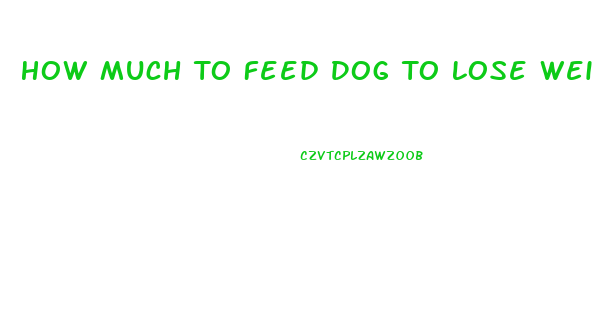 How Much To Feed Dog To Lose Weight