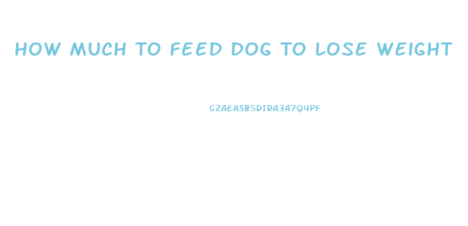 How Much To Feed Dog To Lose Weight