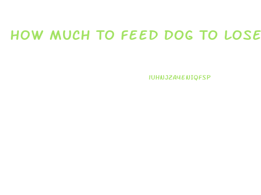 How Much To Feed Dog To Lose Weight