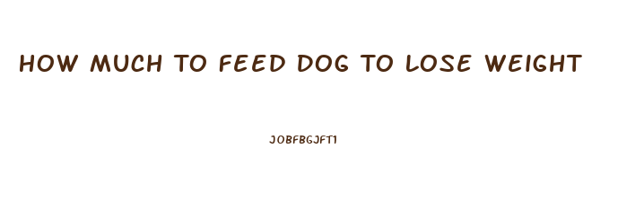 How Much To Feed Dog To Lose Weight