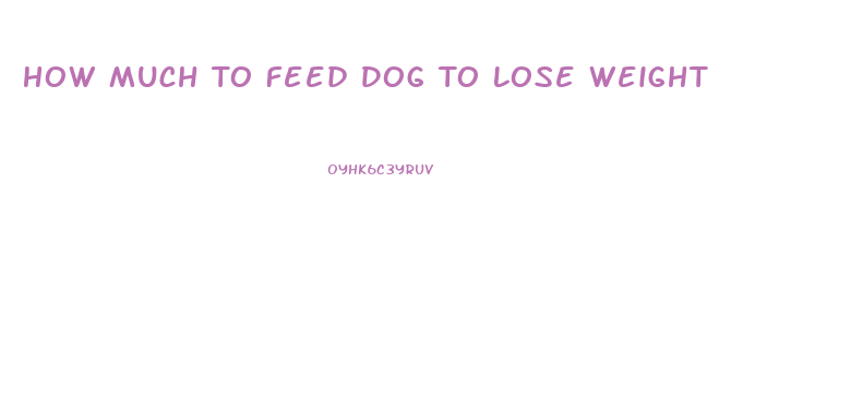 How Much To Feed Dog To Lose Weight