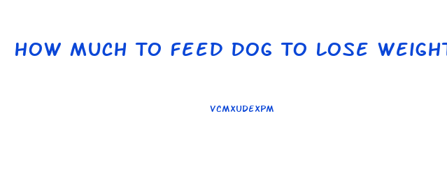 How Much To Feed Dog To Lose Weight