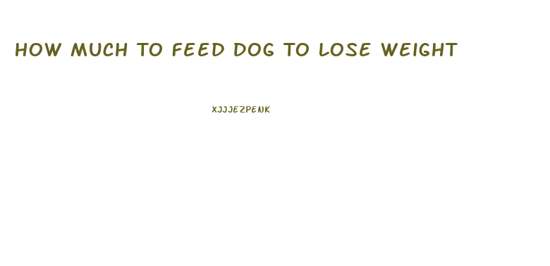 How Much To Feed Dog To Lose Weight