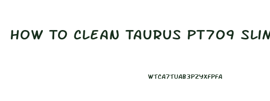 How To Clean Taurus Pt709 Slim