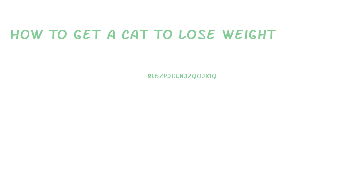 How To Get A Cat To Lose Weight