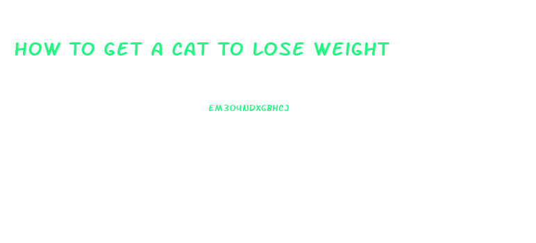 How To Get A Cat To Lose Weight