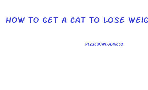 How To Get A Cat To Lose Weight