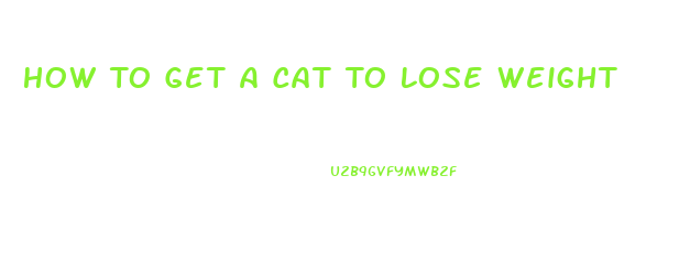 How To Get A Cat To Lose Weight