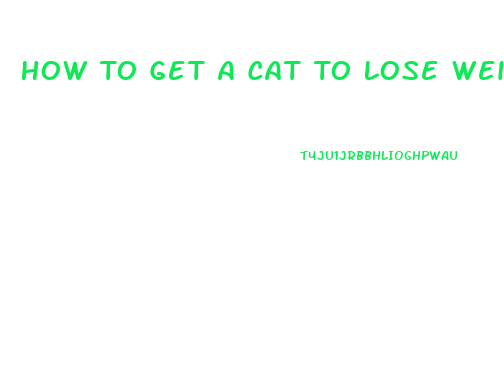 How To Get A Cat To Lose Weight With Multiple Cats