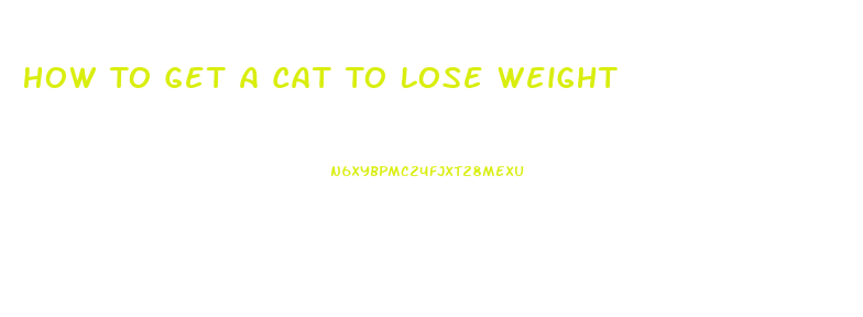 How To Get A Cat To Lose Weight