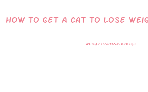 How To Get A Cat To Lose Weight