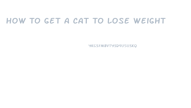 How To Get A Cat To Lose Weight