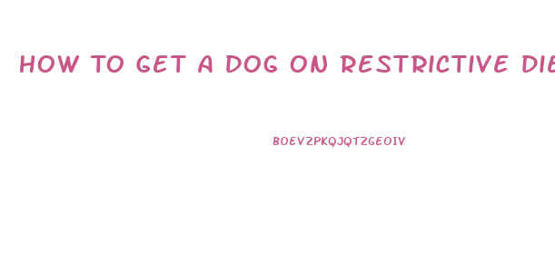 How To Get A Dog On Restrictive Diet To Take A Pill