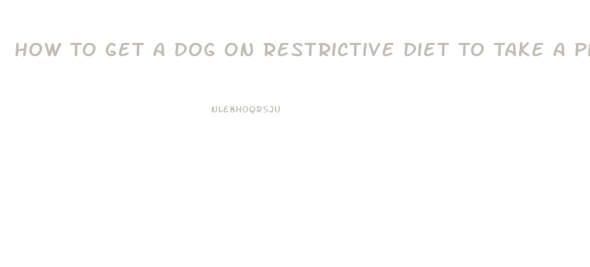 How To Get A Dog On Restrictive Diet To Take A Pill