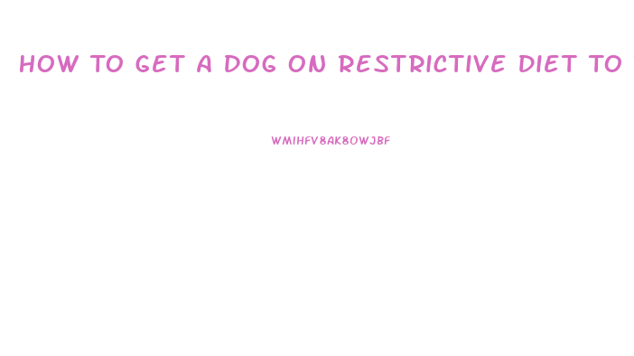 How To Get A Dog On Restrictive Diet To Take A Pill