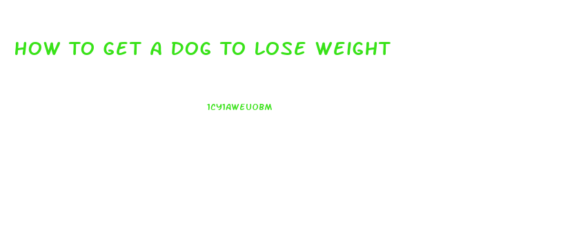 How To Get A Dog To Lose Weight