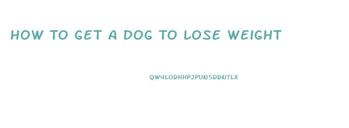 How To Get A Dog To Lose Weight