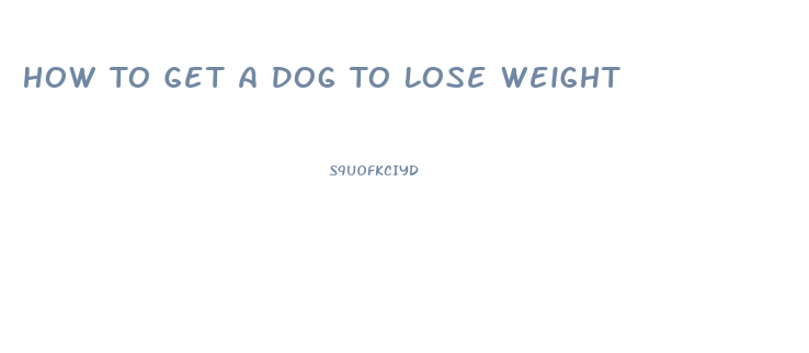 How To Get A Dog To Lose Weight