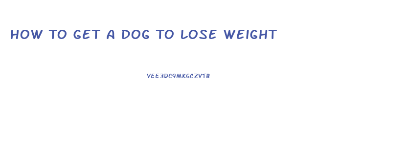 How To Get A Dog To Lose Weight