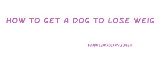 How To Get A Dog To Lose Weight