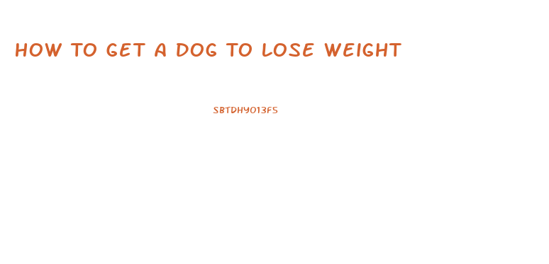 How To Get A Dog To Lose Weight