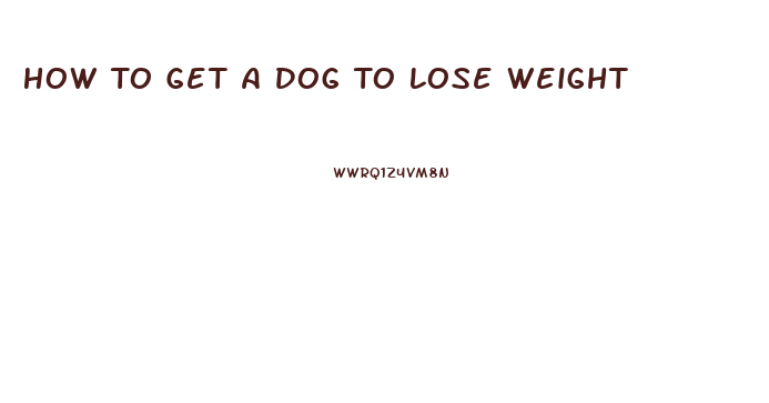 How To Get A Dog To Lose Weight