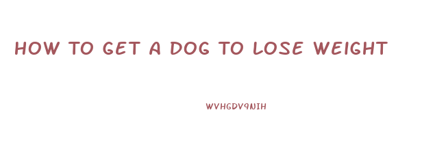 How To Get A Dog To Lose Weight