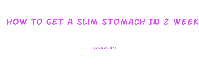 How To Get A Slim Stomach In 2 Weeks