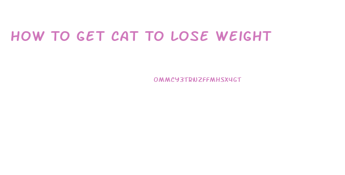 How To Get Cat To Lose Weight
