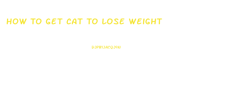 How To Get Cat To Lose Weight