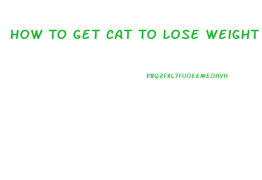 How To Get Cat To Lose Weight