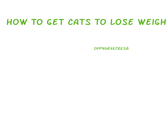 How To Get Cats To Lose Weight